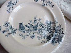 画像3: ロンウィ 小鳥のプレート ブルー A (3)