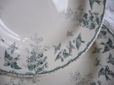 画像13: ショワジールロワ 小鳥の深皿 A (13)