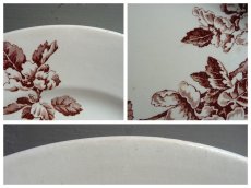 画像10: フランスアンティーク プレート 林檎　A (10)