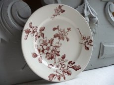 画像12: フランスアンティーク プレート 林檎　A (12)