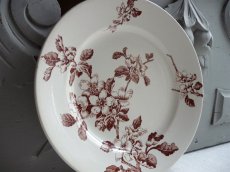 画像1: フランスアンティーク プレート 林檎　A (1)