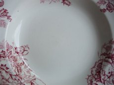 画像6: クレールフォンテーヌ プレート '' PAVOT ''　A (6)