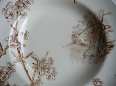 画像6: クレイユ モントロー 深皿 '' CERISIER '' B (6)