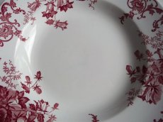 画像5: サンタマン 深皿 カンパニュラ ピンク A (5)