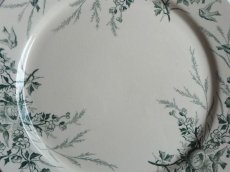 画像6: クレイユ モントロー プレート 小鳥 '' LINOTTE ''  グリーン B (6)