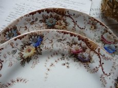 画像14: ショワジールロワ デザートプレート ロカイユと儚いお花 B (14)