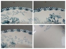 画像9: ショワジールロワ 深皿 儚いお花 A (9)