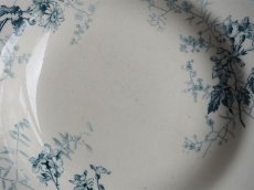画像6: ショワジールロワ 深皿 儚いお花 A (6)