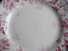 画像6: ショワジールロワ 小鳥のプレート ピンク A (6)