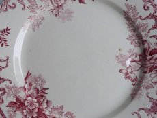 画像6: ショワジールロワ プレート '' FLOREAL '' A (6)