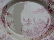 画像10: ジアン プレート リラ ''LILAS'' C (10)