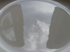画像8: サルグミンヌ オクトゴナル 深皿  C (8)