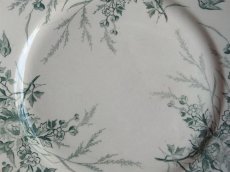 画像6: クレイユ モントロー デザートプレート 小鳥 '' LINOTTE ''  グリーン B (6)