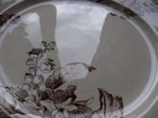 画像8: Cie FRANCO-ANGLAISE  プレート '' ミュール '' B (8)