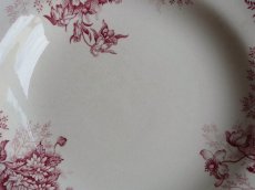 画像5: ショワジールロワ 深皿 '' FLOREAL '' B (5)