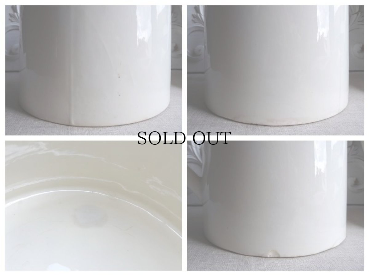 画像11: ディゴワン ＆ サルグミンヌ 白いピシェ (11)