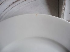 画像8: フランス アンティーク プレート 小鳥 A (8)