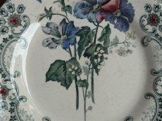 画像6: ショワジールロワ デザートプレート '' FLEURS COUPEES '' クリサンセマム  (6)