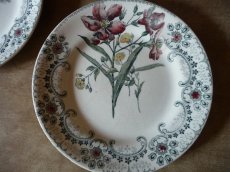 画像10: ショワジールロワ デザートプレート '' FLEURS COUPEES '' アルストロメリア (10)