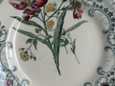 画像5: ショワジールロワ デザートプレート '' FLEURS COUPEES '' アルストロメリア (5)