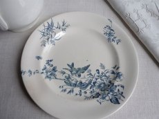 画像11: ロンウィ 小鳥のプレート A (11)