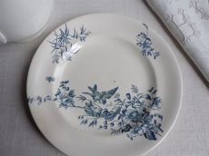 画像3: ロンウィ 小鳥のプレート A (3)