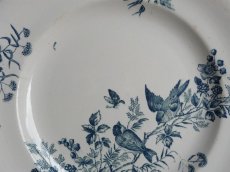 画像7: ロンウィ 小鳥のプレート B (7)