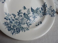 画像5: ロンウィ 小鳥のプレート B (5)