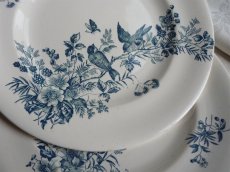 画像13: ロンウィ 小鳥のプレート B (13)