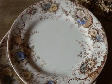 画像10: ショワジールロワ デザートプレート ロカイユと儚いお花 A (10)
