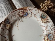 画像11: ショワジールロワ デザートプレート ロカイユと儚いお花 B (11)