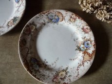 画像3: ショワジールロワ デザートプレート ロカイユと儚いお花 C (3)