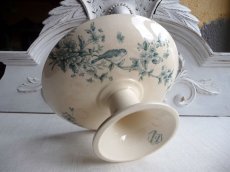 画像5: ロンウィ 小鳥のコンポティエ B (5)