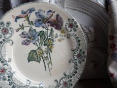 画像9: ショワジールロワ デザートプレート '' FLEURS COUPEES '' クリサンセマム B (9)