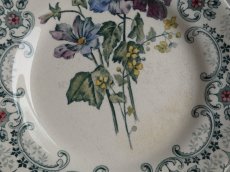 画像5: ショワジールロワ デザートプレート '' FLEURS COUPEES '' クリサンセマム B (5)