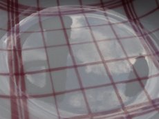 画像8: ムーランデルー 深皿 赤いトーション A (8)