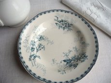 画像3: ショワジールロワ 深皿 儚いお花 A (3)