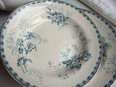 画像1: ショワジールロワ 深皿 儚いお花 A (1)