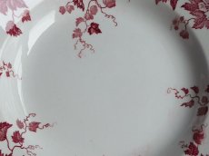 画像5: サンタマン 深皿 フレーズ ローズ A  (5)