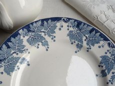 画像11: サンタマン プレート プラタナス A (11)