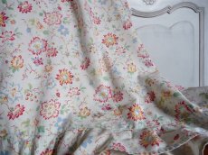 画像1: フランス ヴィンテージ ファブリック アンディアンヌ  (1)