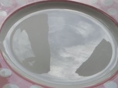 画像9: ディゴワン & サルグミンヌ プレート ピンクの水玉  B (9)