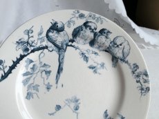 画像4: フランス アンティーク デザートプレート 小鳥とサンザシ A (4)