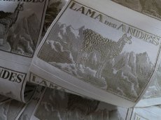 画像11: フランス製 メルスリー ラベル 布タグ '' LAMA DES ANDES ''　(在庫6→5)　 (11)