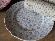画像17: ニーデルヴィレ プレート 小花模様 プチフルール 19世紀 (17)