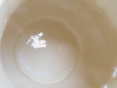 画像8: サルグミンヌ 花リム カフェティエール  (8)