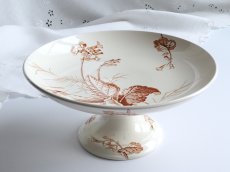 画像10: リュネヴィル コンポティエ  さくら草 (10)