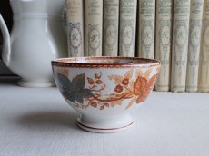 画像3: B.F ボッホ  カフェオレボウル  野ばら   (3)