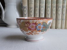 画像2: B.F ボッホ  カフェオレボウル  野ばら   (2)