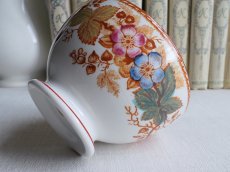 画像15: B.F ボッホ  カフェオレボウル  野ばら   (15)
